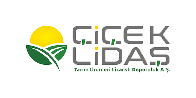 Lidas16